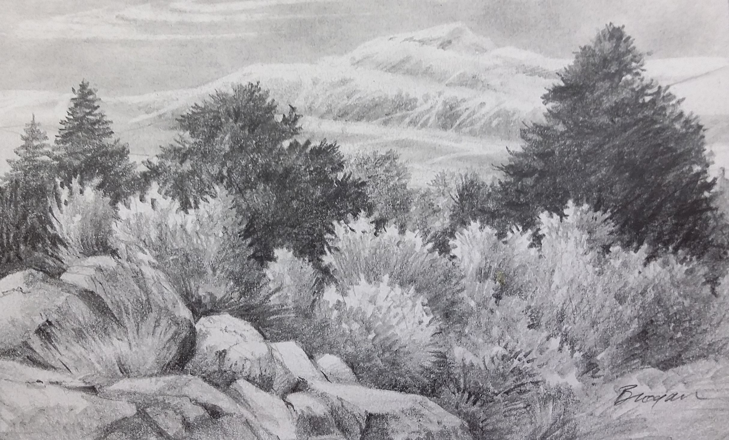 Pencil sketch of bushes and rocks in front of a foothill