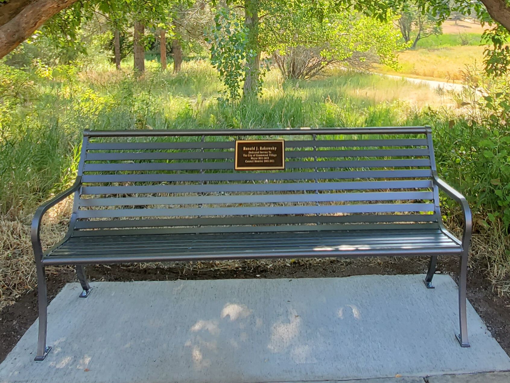 Metal park bench with plaque along a trail